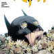 Illustration for article titled Bruce Wayne Doesn’t Want to Be Batman Again